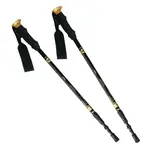 NILS Extreme NW-TK 19 nordic walking & trekingové hole