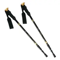 NILS Extreme NW-TK 19 nordic walking & trekingové hole