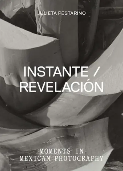 Instante/revelacion - Julieta Pestarino