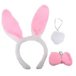 Set karneval - zajíc