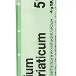 Boiron KALIUM MURIATICUM CH5 granule 4 g