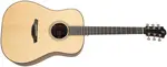 Furch Blue Plus D-SW CNR Active 2026