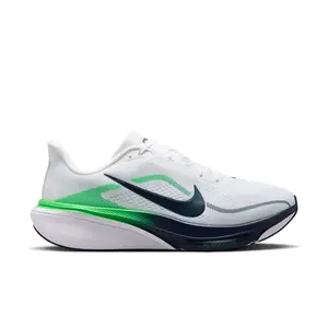 Nike Pegasus 42 44