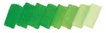 Olejová barva Mussini 35ml – 529 viridian