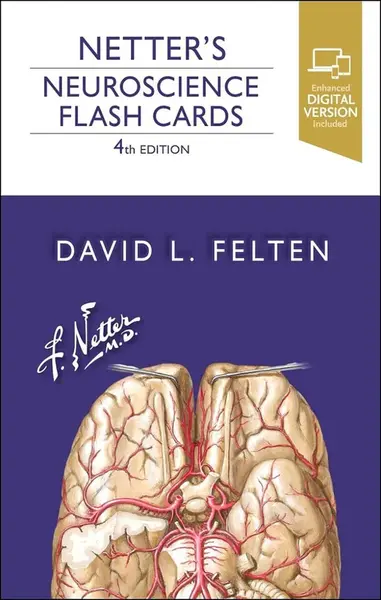 Netter's Neuroscience Flash Cards - David L.  Felten