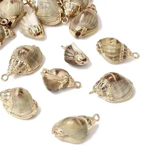 Brass & Natural Shell Pendants