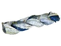 LK Baits Pet Luxusní Rybí Copánky z Kůže Lososa 20g,1ks