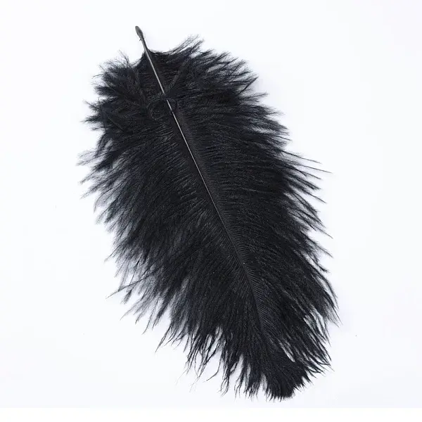 Ostrich Feather Costume Accessories