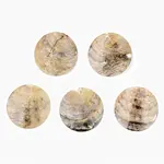 Natural Akoya Shell Pendants