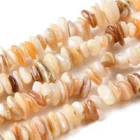 Natural Shell Beads Strands