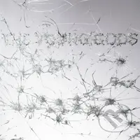 Young Gods:  Appear Disappear (Grey Vinyl) LP (2 LP)