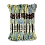 10 Skeins 6-Ply Polyester Embroidery Floss