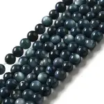 Natural Freshwater Shell Beads Strands