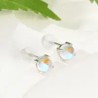 Anti-Tarnish 925 Sterling Silver Stud Earrings