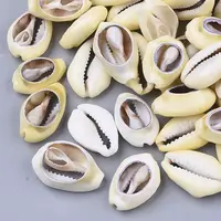 Natural Cowrie Shell Beads