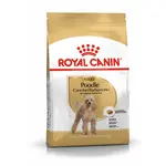 Royal Canin Poodle Adult - granule pre dospelých psov pudla 1,5 kg