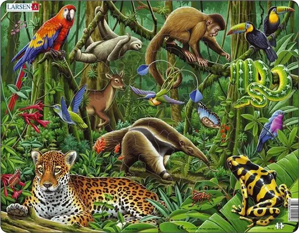 Puzzle Jižní Amerika - zvířata