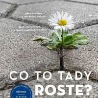 Co to tady roste? - Alexandra-Maria Kleinová, Julia Krohmerová