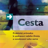 Cesta - Brandon Bays