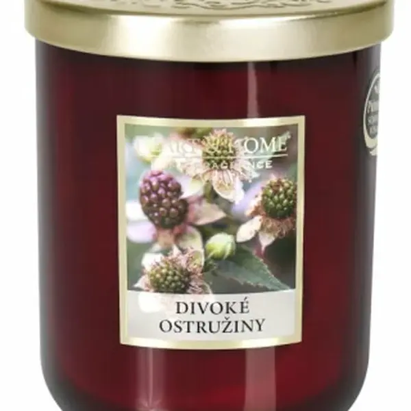 Velká svíčka - Divoké ostružiny