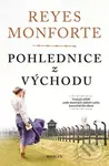 Pohlednice z východu - Reyes Monforte - kniha z kategorie Společenská beletrie