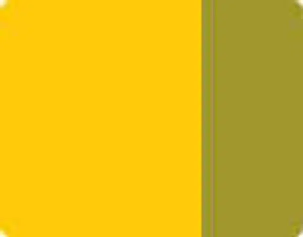Akrylová barva Lefranc 200ml – 389 Medium Yellow