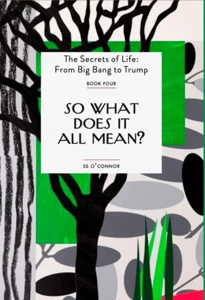 So What Does It All Mean? - S. S. O'Connor