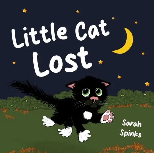 Little Cat Lost - Sarah Spinks