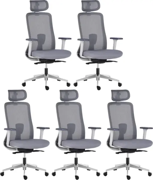 LTC 5PACK Ergonomická kancelárska stolička APOLLO, sivá (5 ks)