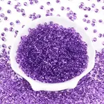 3/0 Baking Paint Glass Fringe Seed Beads