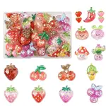 30Pcs 15 Styles Resin & Acrylic & Plastic Cabochons