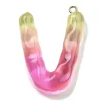 Resin Pendant