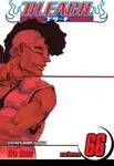 Bleach, Vol. 66 - Tite Kubo
