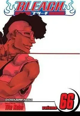Bleach, Vol. 66 - Tite Kubo