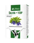 Liftea ŠALVIA + YZOP