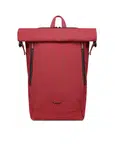Tayte Small Wine Red