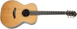 Furch Green OM-TR CNR Active 2026