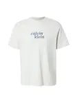 Calvin Klein Jeans Tričko 'Relaxed Logo'  čadičová / svetlosivá