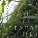 Tomáš Liška – Invisible World CD
