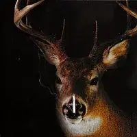 Dragon's Brew – Cold Brew