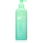 Seboradin PRO SEBOCLEAR Shampoo šampon pro mastné vlasy 400 ml