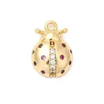 Brass Micro Pave Cubic Zirconia Charms