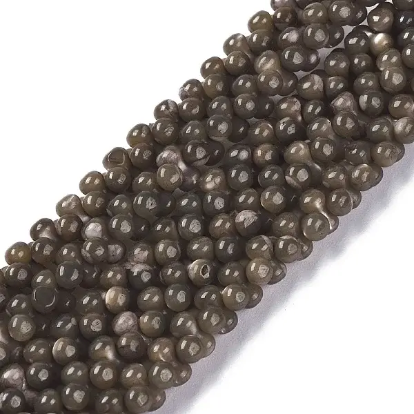 Natural Trochid Shell/Trochus Shell Beads Strands