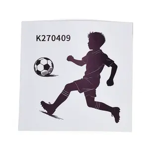 PVC Self-Adhesive Picture Stickers