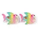 Rainbow Resin Cabochons