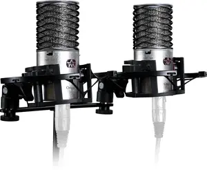 Aston Microphones ORIGIN STEREO PAIR