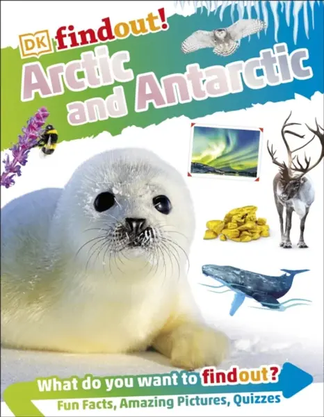 DKFindout! Arctic and Antarctic - DK