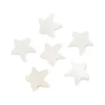 Natural Freshwater Shell Beads