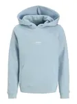 Jack & Jones Junior Mikina 'JJESoho'  nebesky modrá / biela