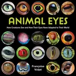 Animal Eyes - Francoise Vulpe